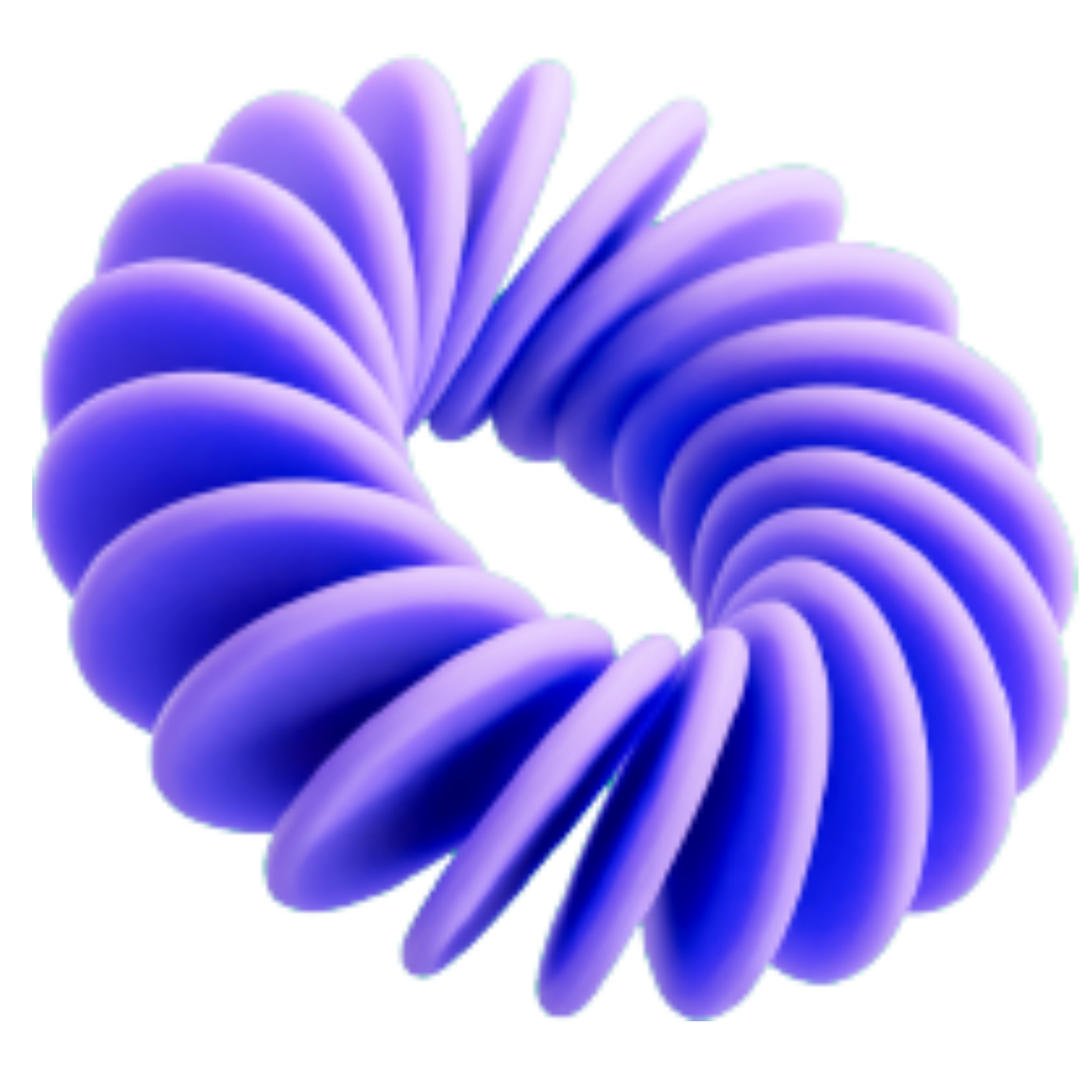 Torus 3D